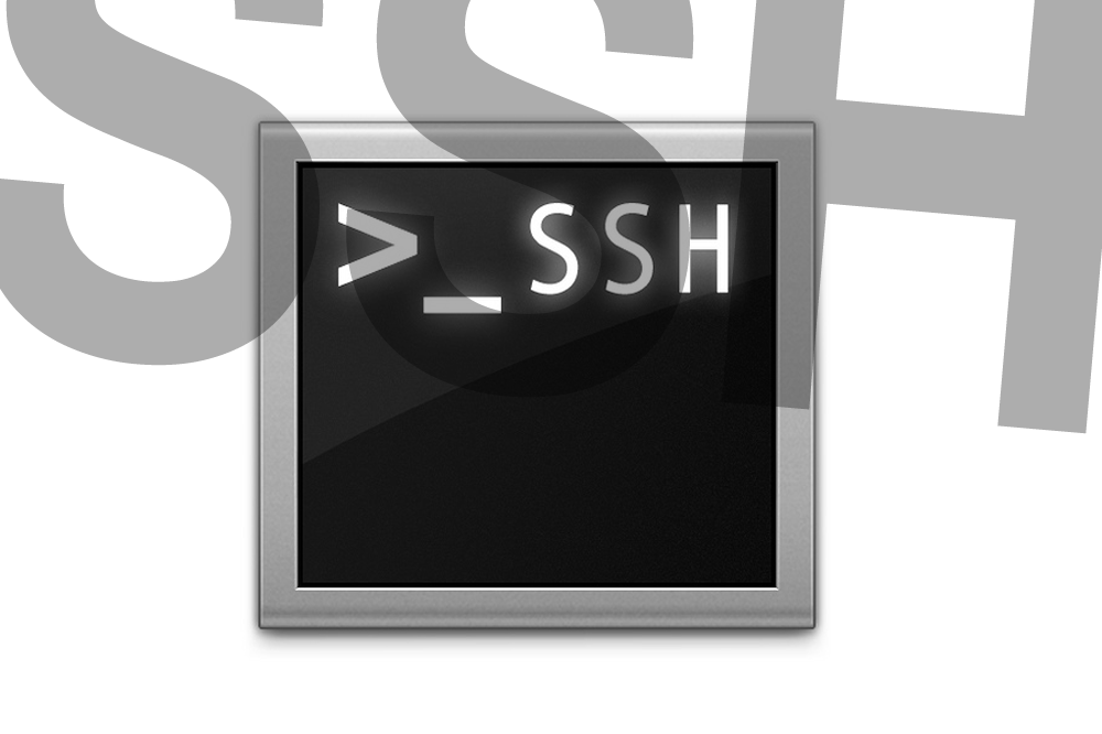 SSH 存取